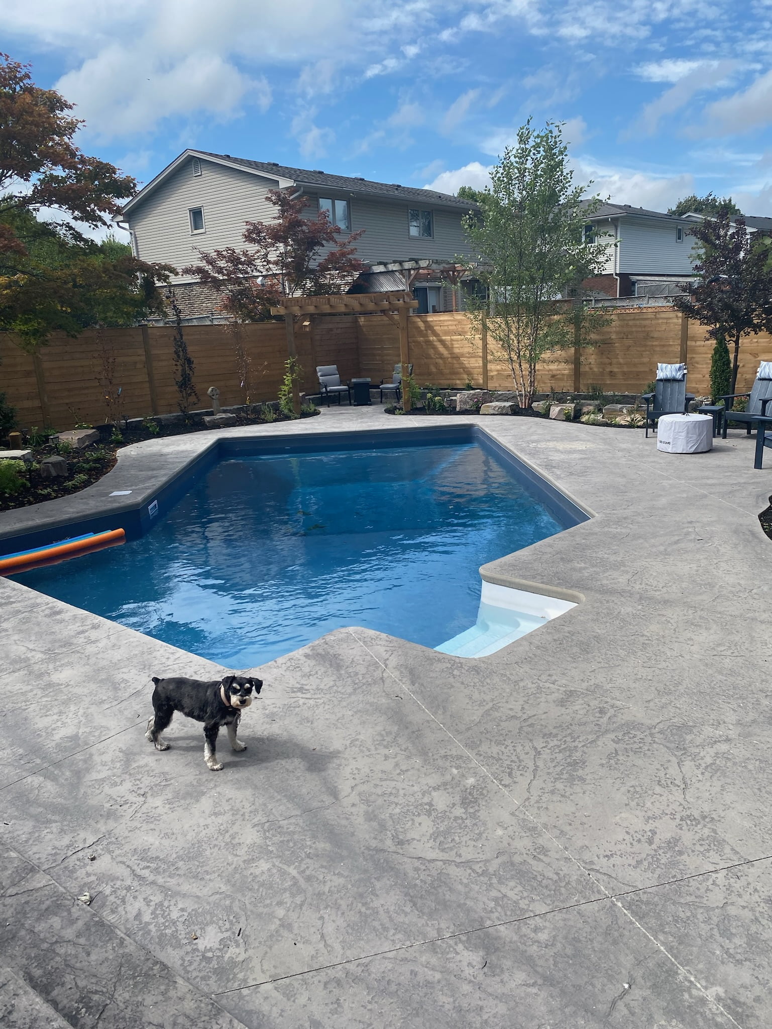 00-5 Barclay finished pool daylight