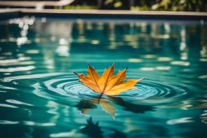 leaf floating in a swimming pool